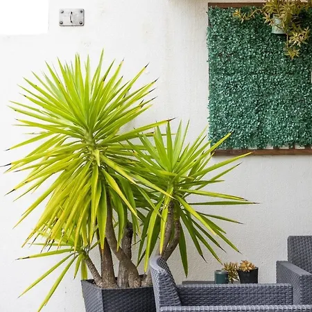 Tide Terrace Duplex By Portugal Active Viana do Castelo