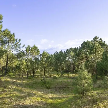 Tide Terrace Duplex By Portugal Active * Viana do Castelo