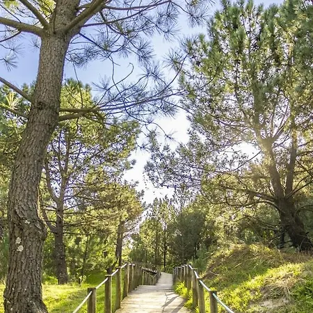 Tide Terrace Duplex By Portugal Active Apartment *