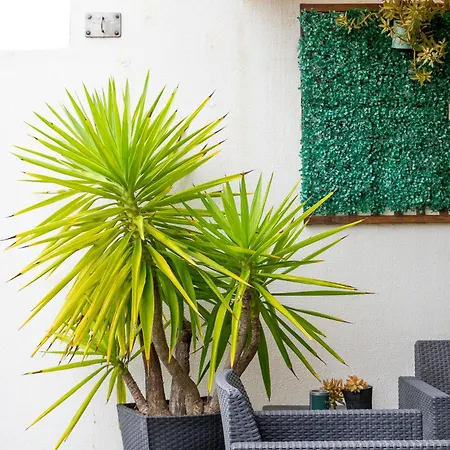 Daire Tide Terrace Duplex By Portugal Active