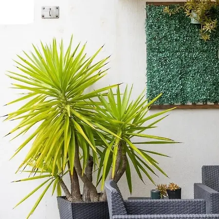 Appartement Tide Terrace Duplex By Portugal Active Viana do Castelo