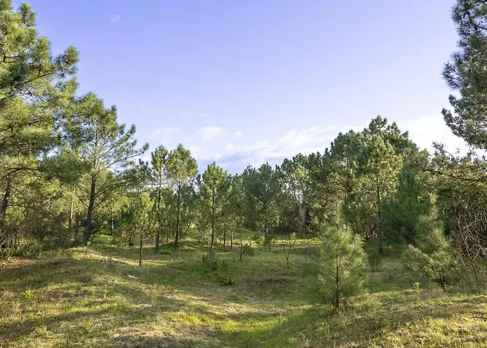 Tide Terrace Duplex By Portugal Active * Виана-ду-Каштелу