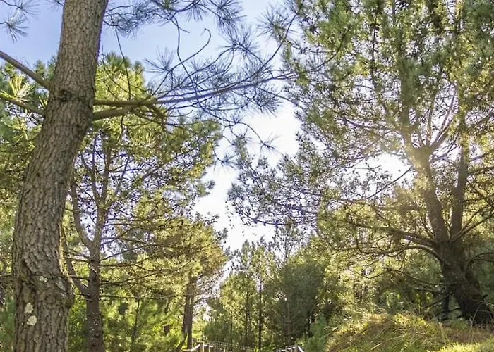 Tide Terrace Duplex By Portugal Active Апартаменты *